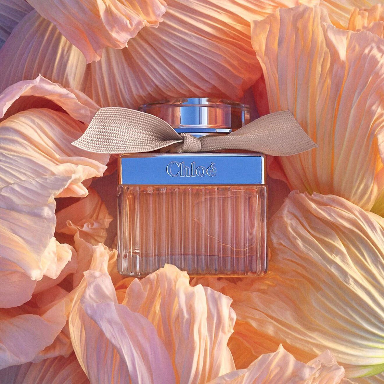 Chloe - Signature